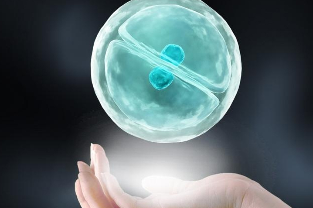 代怀助孕宫高腹围标准，健康孕育的指标